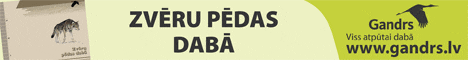 Gandrs grāmata zvēru pēdas dabā