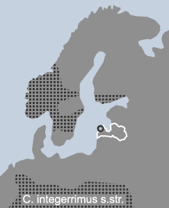 Cotoneaster scandinavicus B.Hylmö karte