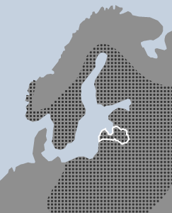 Eleocharis mamillata H.Lindb. karte