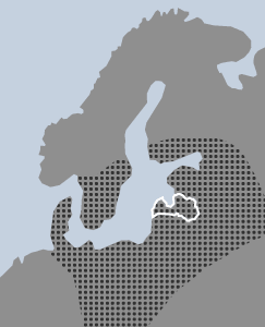 Potentilla heidenreichii Zimmeter karte