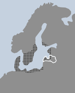Sorbus intermedia (Ehrh.) Pers. karte