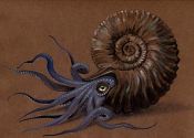 Ammonites attēls