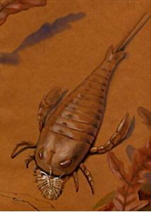 Eurypterus fisheri attēls