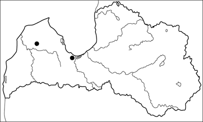 Cochlicopa repentina Hudec karte