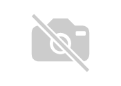 Agaricus bernardii attēls