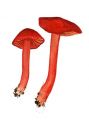 Hygrocybe miniata (Fr.) P. Kumm attēls