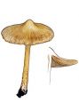 Inocybe rimosa (Bull.: Fr.) P. Kumm. attēls