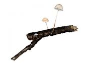 Mycena stylobates  (Pers.: Fr.) P. Kumm. attēls