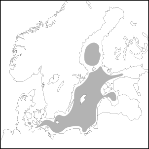 Sprattus sprattus balticus (Schneider) karte