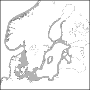 Syngnathus typhle (L.) karte